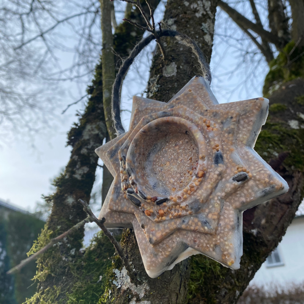 Bild von Vogelfutter, welches als Stern zusammengepresst wurde und nun an einem Baum hängt.