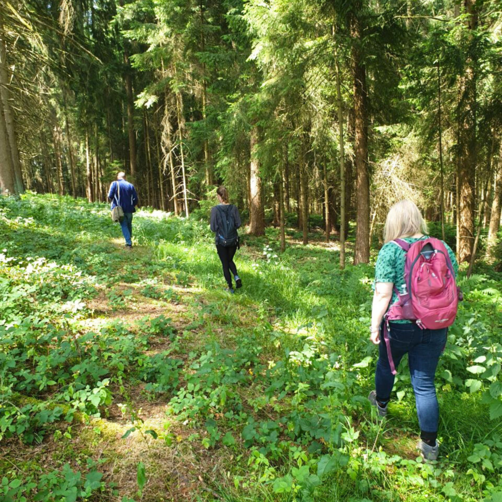 Bild von 3 Personen die mitten im Wald auf einer Wiese spazieren gehen