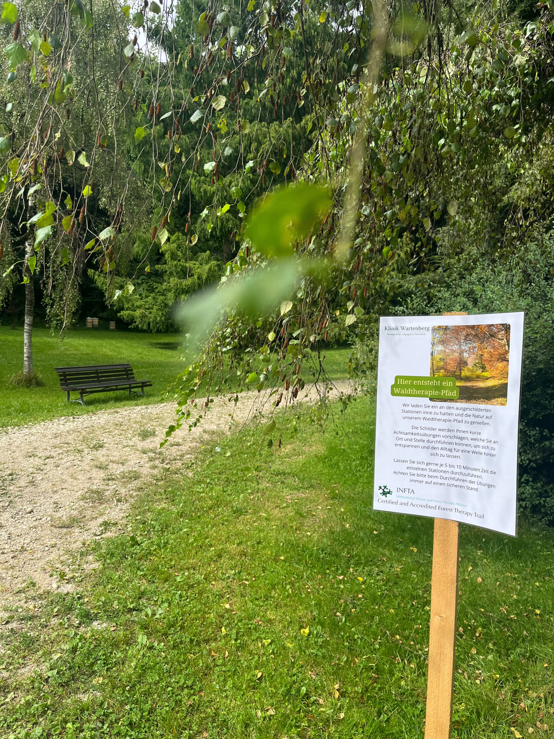 Foto des Waldtherapiepfads. Auf der rechten Seite ein Informationsblatt auf Holz das in der Wiese steckt. Im Hintergrund eine Bank und Bäume.