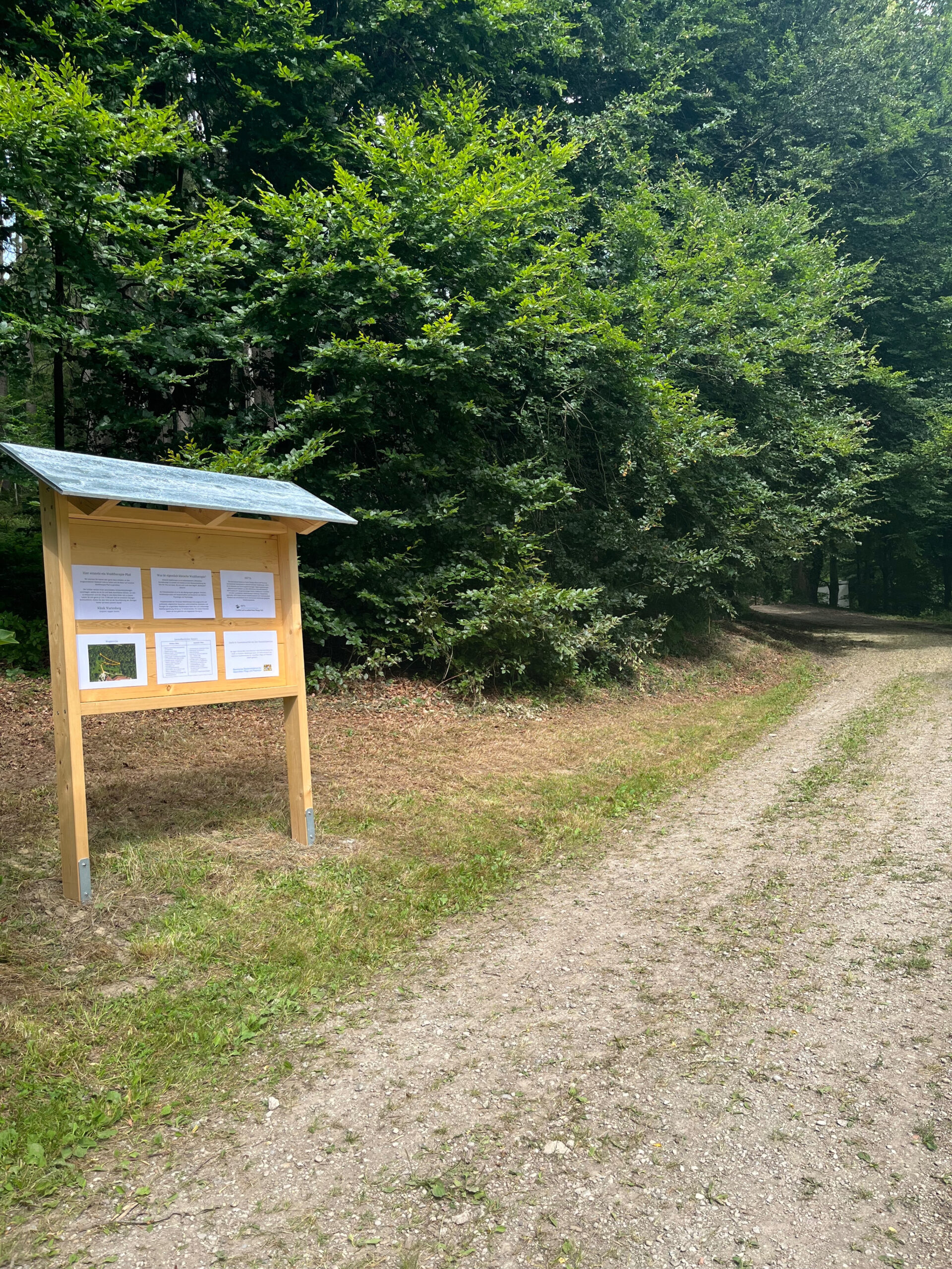 Foto des Waldtherapiepfads der Klinik Wartenberg. Auf der linken Seite eine Holztafel mit Informationsblättern. Im Hintergrund Wald.