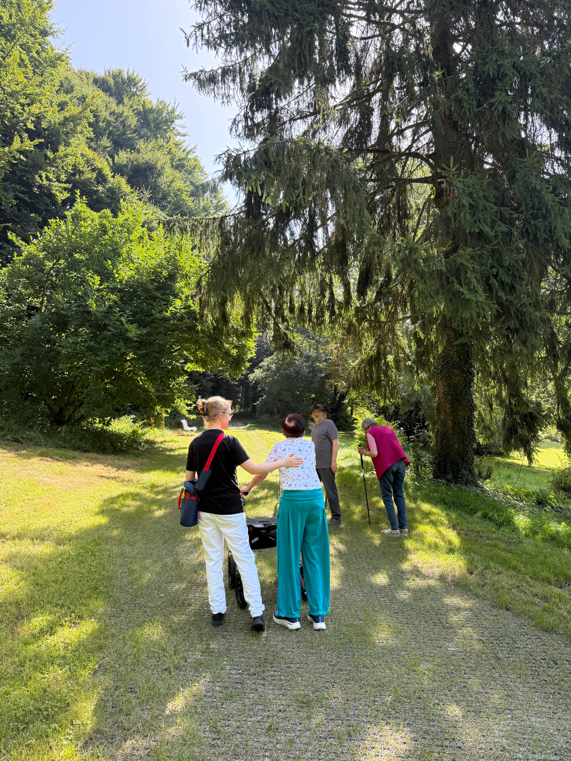 Die Waldtherapeutin unterstützt eine Gruppe von Patienten auf dem Weg zur Waldtherapie. Sie stehen auf dem befestigten Weg des zertifizierten Waldtherapiepfads. An den Seiten sieht man das grüne Gras und die Bäume des Waldes. Der Himmel ist blau und es sieht nach einem sommerlichen Tag aus.