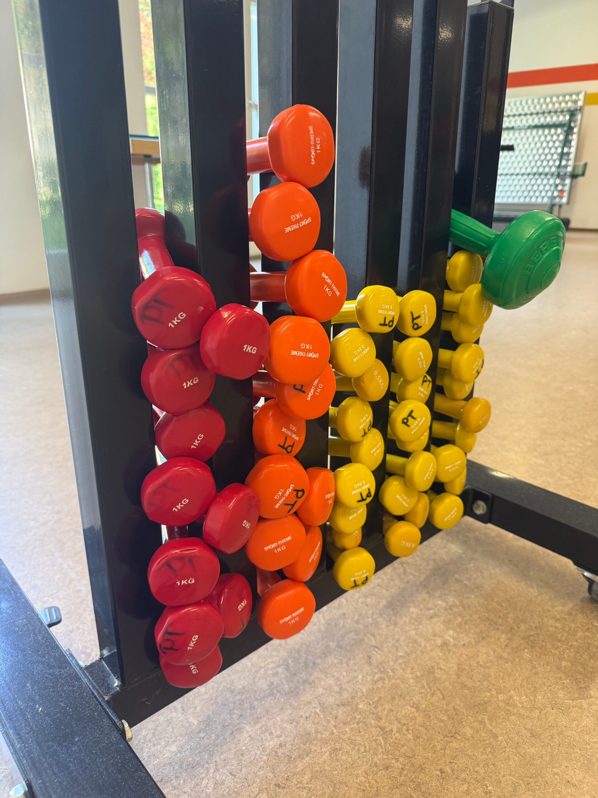 Halterung mit diversen Kurzhanteln in verschiedenen Farben steht im Gymnastiksaal der Klinik Wartenberg.